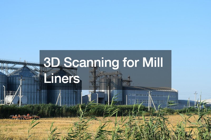 3D Scanning for Mill Liners